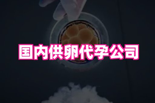 69助孕网 2