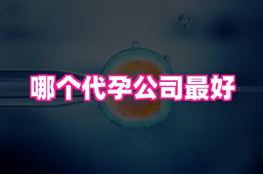 69助孕网 3